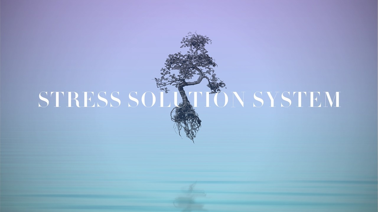 Stress Solution System